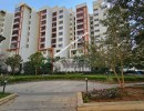 2 BHK Flat for Sale in KRS Road